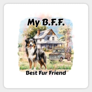 Dog - B.F.F. Australian Shepherd Magnet